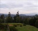 Land in Ooty for sale